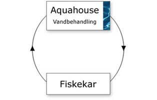 aquahouse Fishbecken